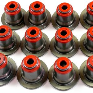 Valve Stem Seal Garage-Pro Direct Fit Set for 2004-2012 BMW X5, 545i-0